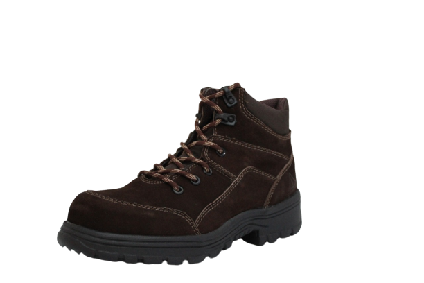 Bota 8051